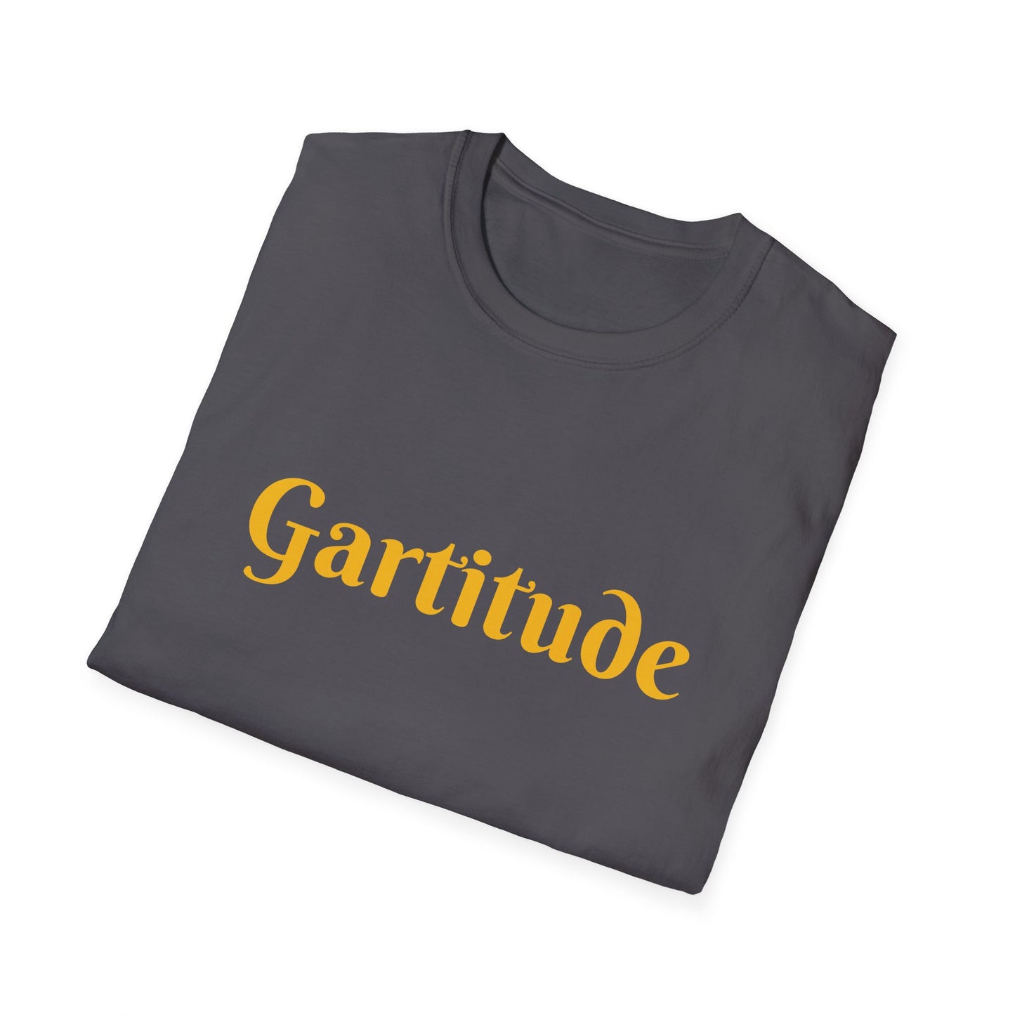 Gratitude affirmation - Unisex Softstyle T-Shirt