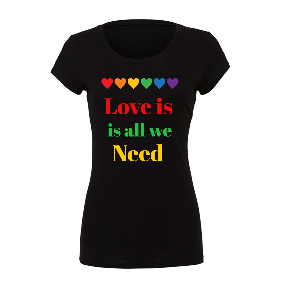 Ladies Slim Fit T-Shirt