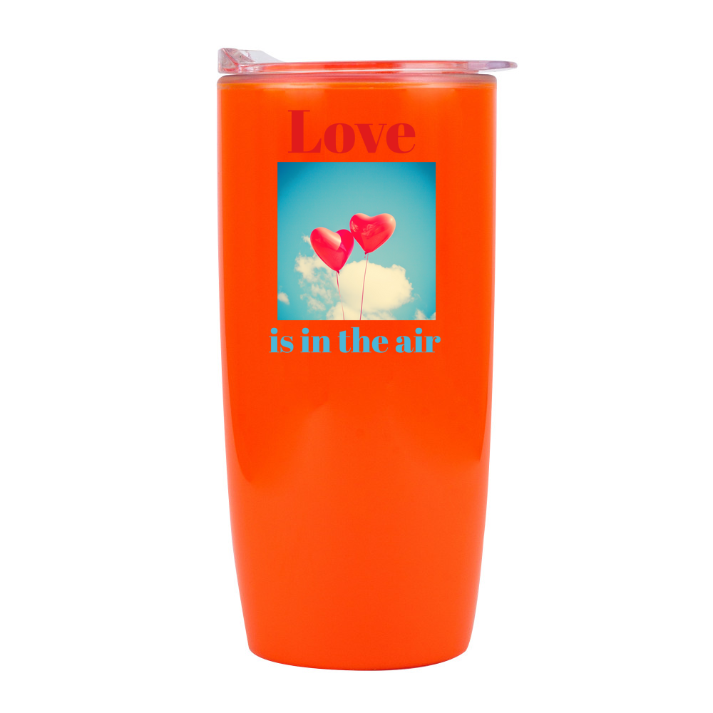 Double Walled Drinks Tumbler - 530ml