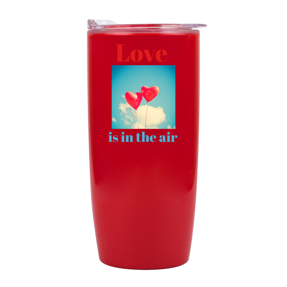 Double Walled Drinks Tumbler - 530ml